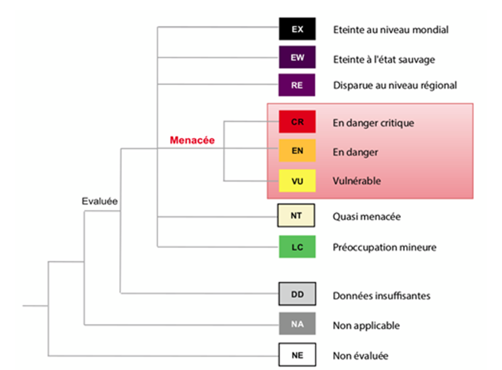 Présentation des catégories de l'UICN utilisées a une échelle régionale